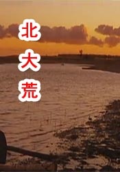 精品久草